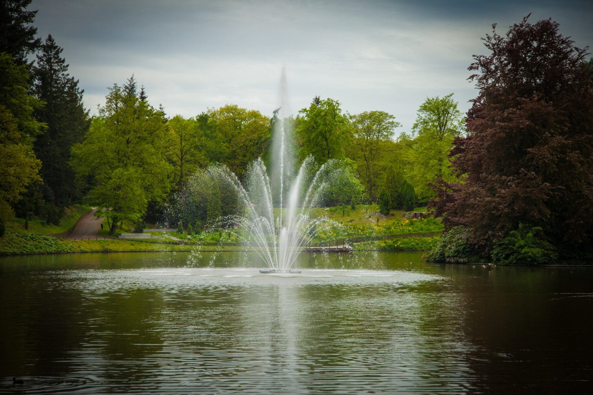 Moeras Vergevingsgezind bijl Fonteinen in vijvers en parken | AUGA