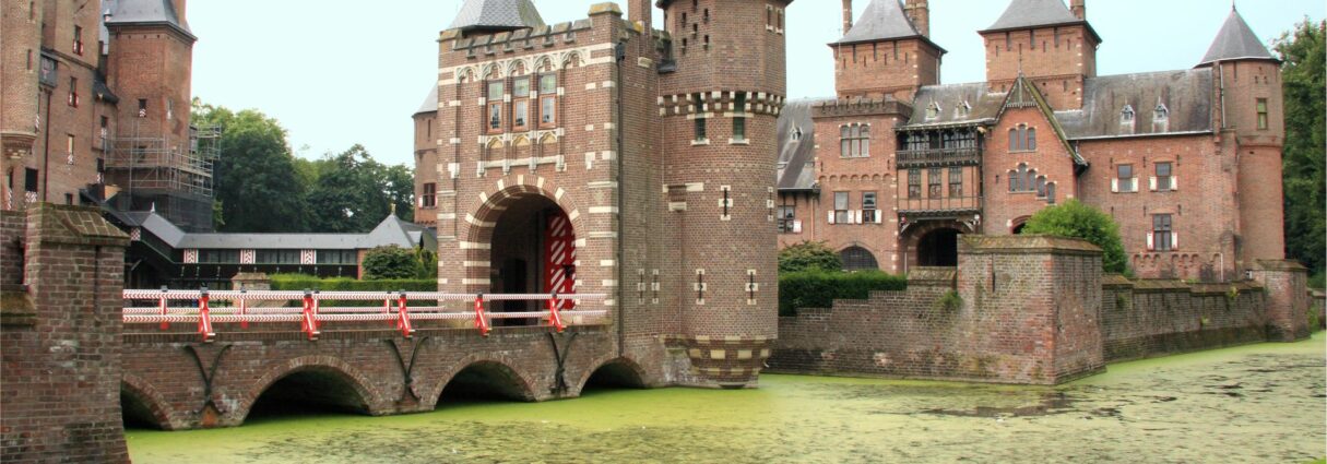 AUGA-Oplossingen-themas-Eendenkroos