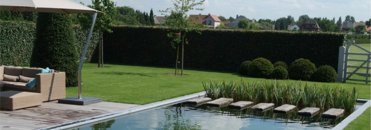 AUGA-Oplossingen-themas-Helder-vijverwater