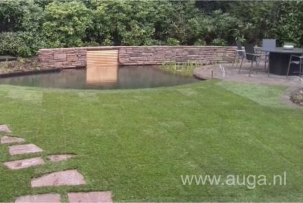 Un étang clair, c'est ce que tout le monde veut dans le jardin ?