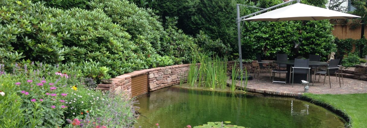 Heldere vijver_project_esselink