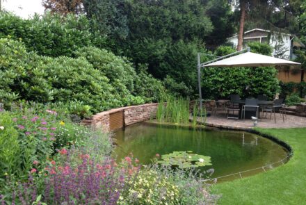 Een heldere vijver, dat wil toch iedereen in de tuin?  