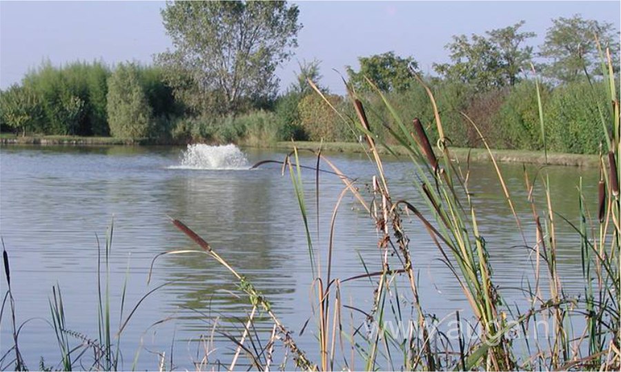 Vijverbeluchters en mixers getest door Sportvisserij