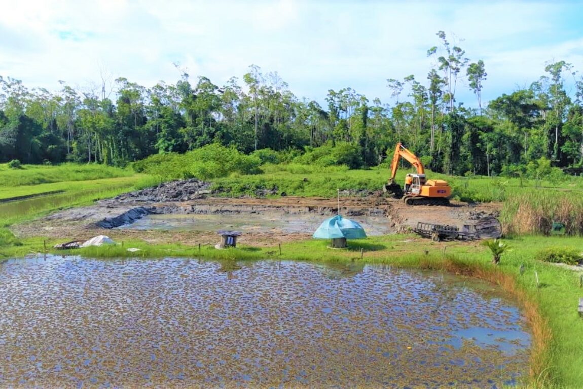 Biologisch gezuiverd zwemplezier in de tropen