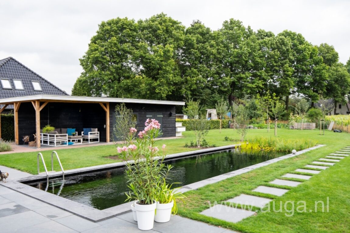 Natuurlijk gezuiverde zwemvijvers: hype of blijvende trend?