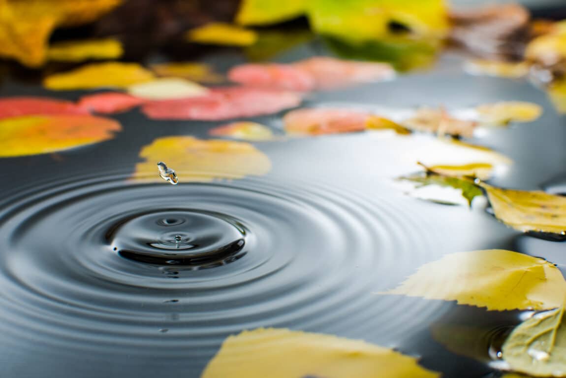 Prepare your pond for winter