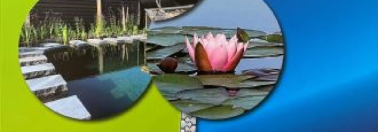 AUGA Sluitend Vijveradvies