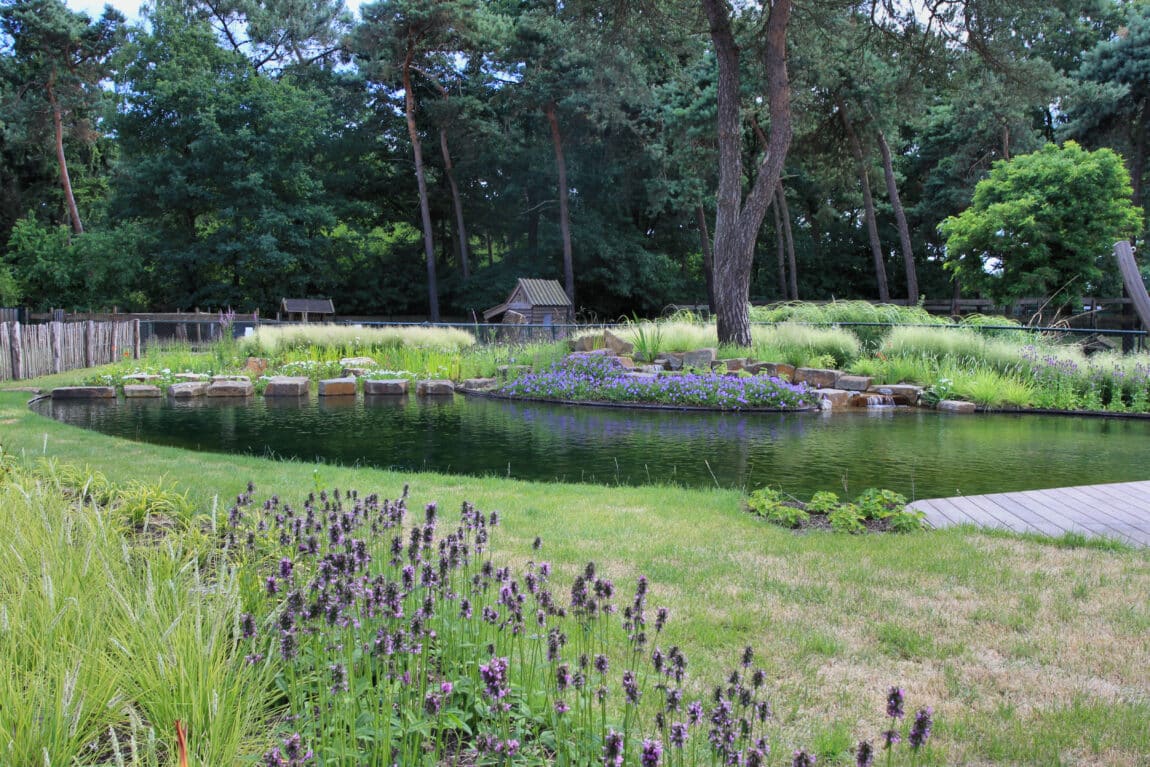 AUGA Herman Vaessen Down Flow Zwemvijver 6