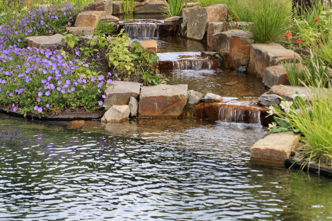 AUGA Herman Vaessen Down Flow Zwemvijver 8