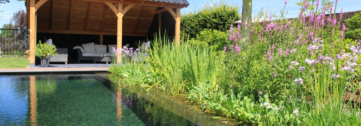 AUGA Herman Vaessen Up Flow Zwemvijver 4