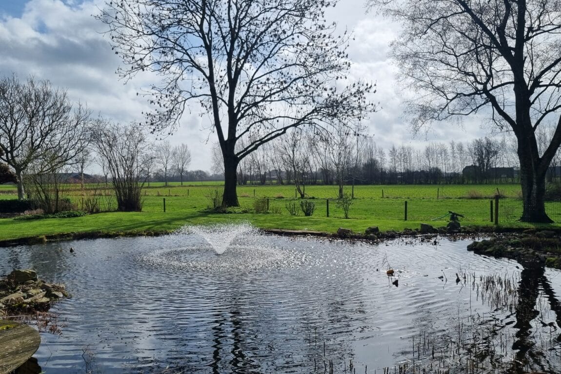 Ziet je vijver groen voor je ogen?