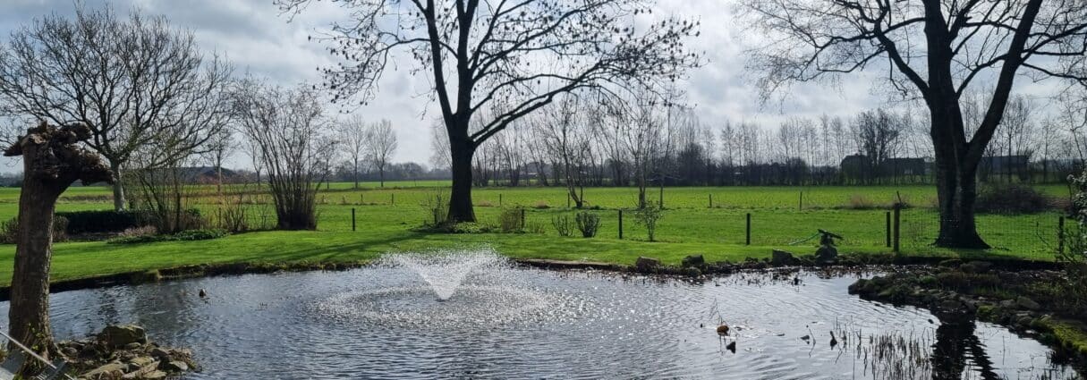 AUGA sfeerbeeld Lotus