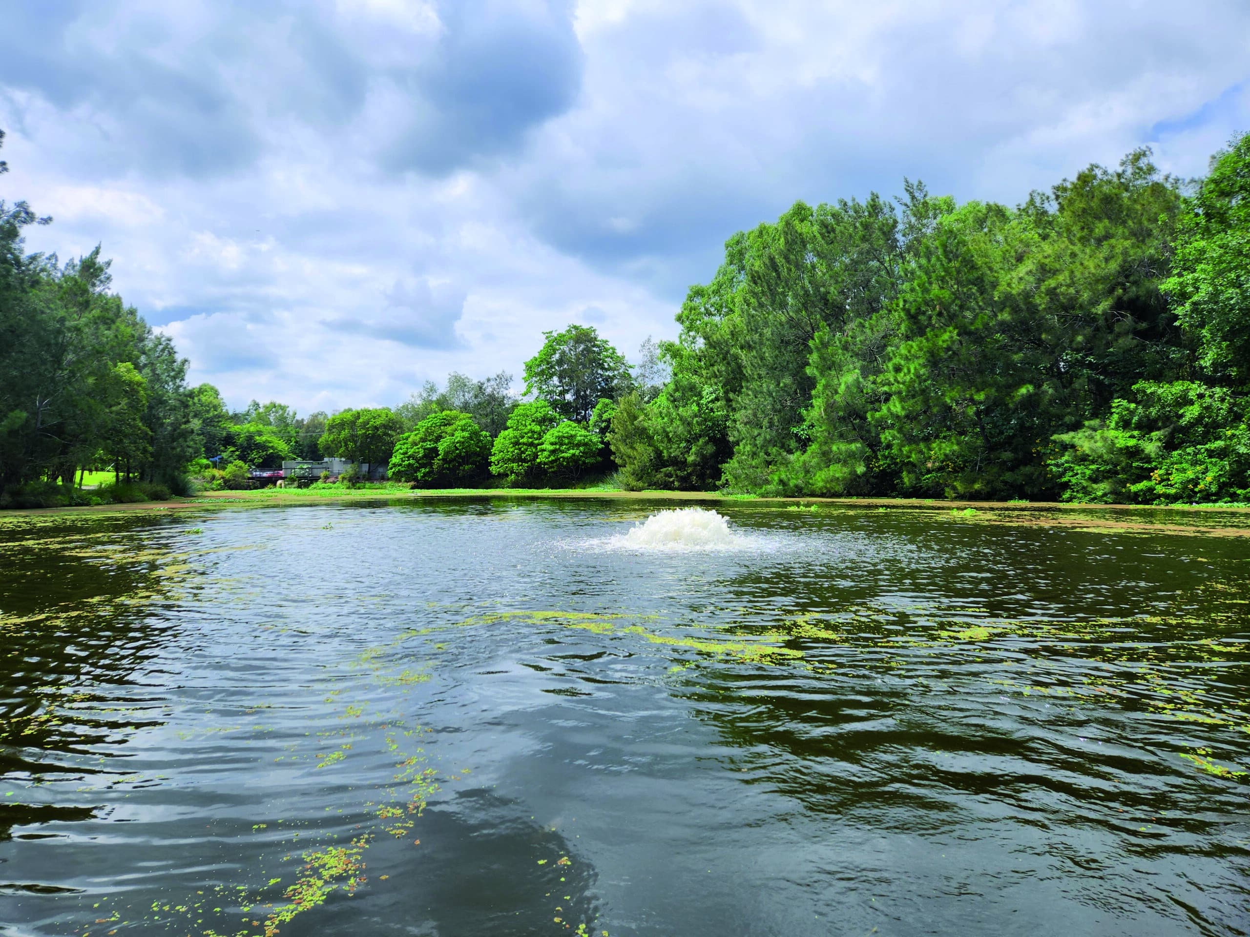 Afbeelding waterkwaliteit