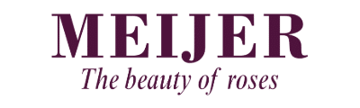 Meijer Roses 2