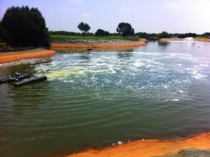 AUGA Beluchter Combi Mixer